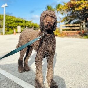 Meet your Posher, Emmanuel